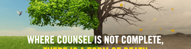 To Seek Counsel – 2