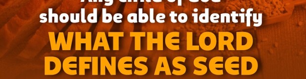 Wisdom In Giving To God