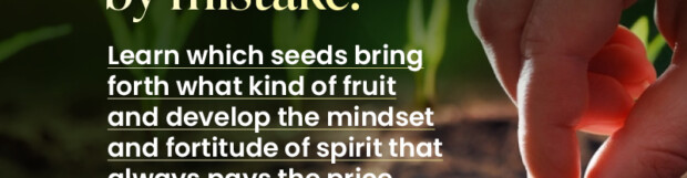 The Seed