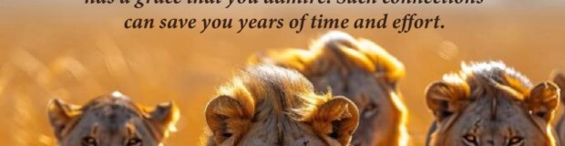 A Law Of Supernatural Momentum