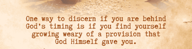 Kingdom Finance Principles: Discerning Your Next Level