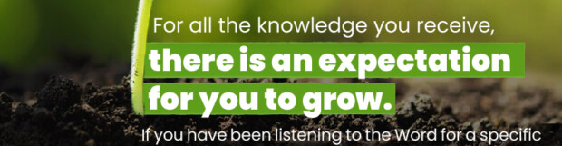 When You Should Be Teachers