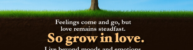 A Place Higher Than Convenience