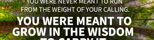 Wisdom That Sustains Growth