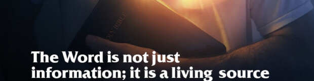 Connect to the Life in the Word